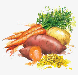 马萝卜蔬菜高清图片