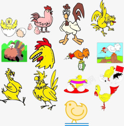 颜色多样多种多样的小鸡高清图片
