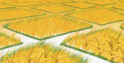 唯美清新金黄色芒种小麦手绘插画素材