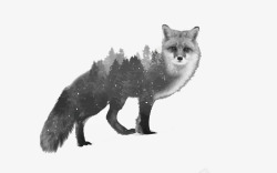 森林狐狸矢量图素材