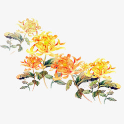 水彩底重阳节黄色水彩菊花朵装饰免高清图片