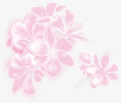 粉色珠光花卉背景七夕情人节素材
