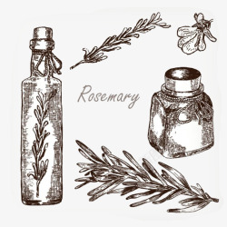 盛调料的瓶子手绘复古调料瓶迷迭香植物插画免高清图片
