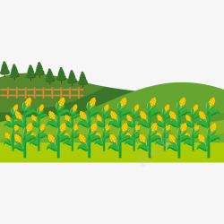 种地插画玉米地插图矢量图高清图片