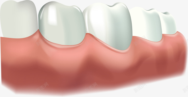 美丽白色牙齿png免抠素材_新图网 https://ixintu.com 一排牙齿 水彩 牙龈 牙龈健康刷牙防蛀牙 白色牙齿 红色牙齿肉 美丽牙齿