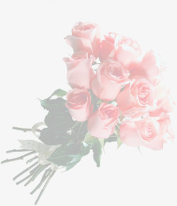 粉色玫瑰花束背景七夕情人节素材