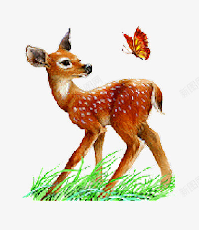 麋鹿写实png免抠素材_新图网 https://ixintu.com 大森林 棕黄色 白色斑点 麋鹿