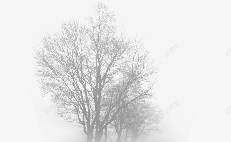 创意起大雾的森林png免抠素材_新图网 https://ixintu.com 创意 大雾 森林