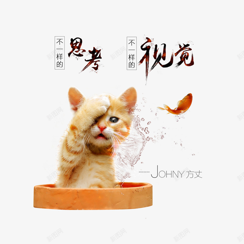 小猫和鱼psd免抠素材_新图网 https://ixintu.com 小猫 思考 视觉 鱼