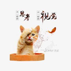 小猫和鱼素材