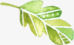 手绘绿色水彩叶子装饰元素素材