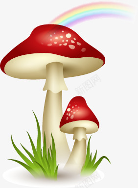 晴天后的蘑菇png免抠素材_新图网 https://ixintu.com 彩虹 蘑菇