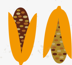 秋季膳食玉米高清图片