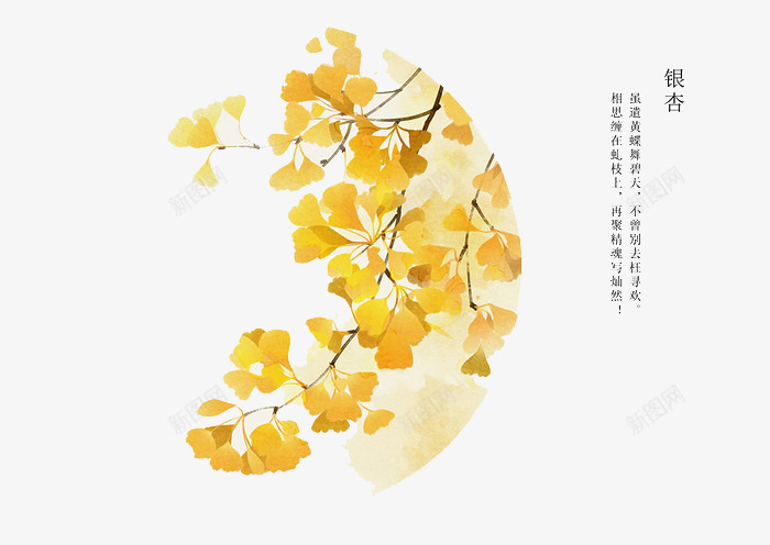 手绘花卉png免抠素材_新图网 https://ixintu.com 卡通 手绘 手绘插画 手绘素材 插画 银杏