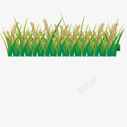 水稻种植小满节气手绘装饰插图水稻插画高清图片