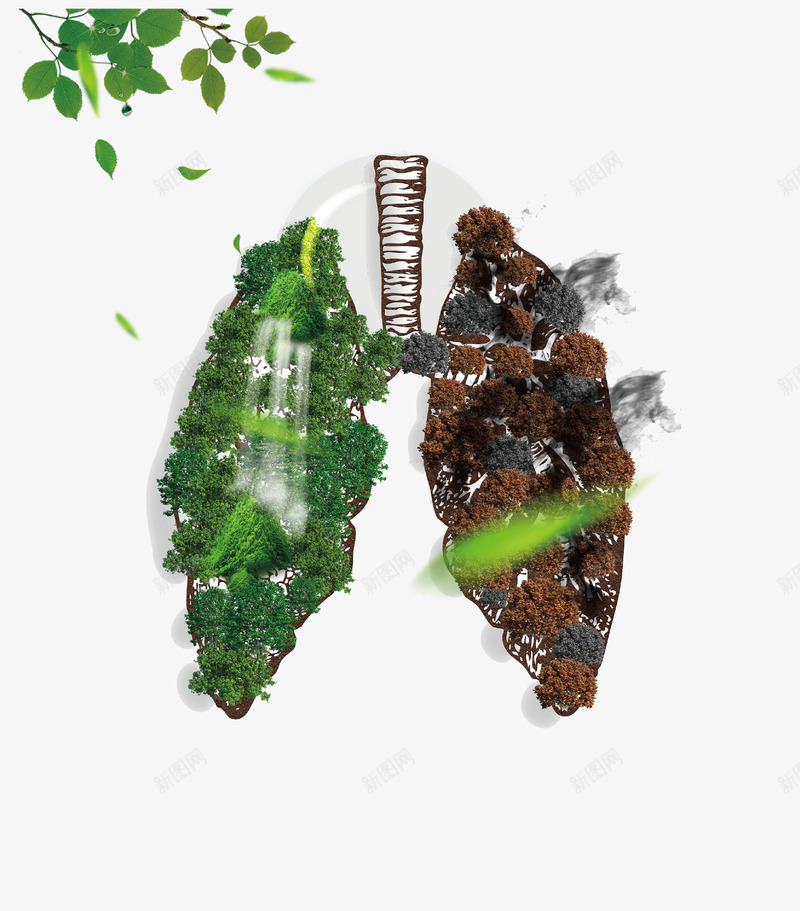 绿色创意肺部插画psd免抠素材_新图网 https://ixintu.com 个性画 公益广告 创意设计 吸烟后的肺部对比图 吸烟有害健康 插画 绿叶 肺部 肺部创意