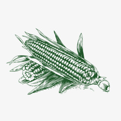 秋季蔬菜玉米手绘装饰案矢量图高清图片