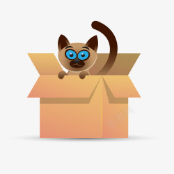 纸箱里的小猫咪素材