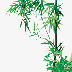 绿色竹子元素素材
