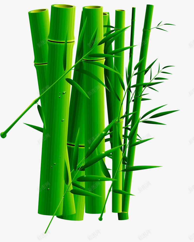 绿色中国风竹子装饰图案png免抠素材_新图网 https://ixintu.com 中国风 竹子 绿色 装饰图案