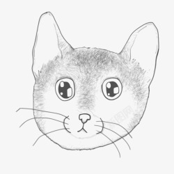 手绘的卡通小猫头素材