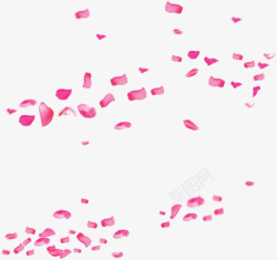 飘散粉色玫瑰花瓣七夕情人节素材