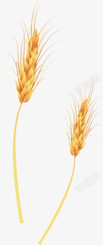 稻草png免抠素材_新图网 https://ixintu.com 丰收 秋季 粮食 谷物