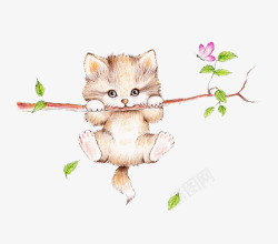 枹树的小猫素材