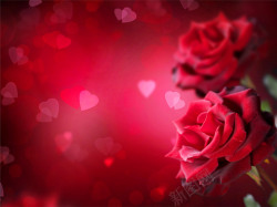红色爱心玫瑰海报背景七夕浪漫情人节素材