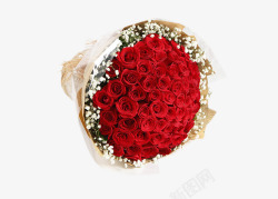 66朵红玫瑰花束素材