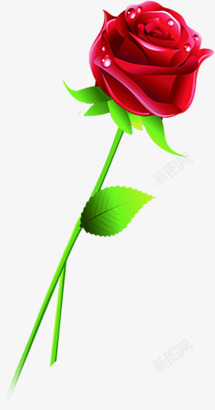 珠光手绘玫瑰花束七夕情人节素材