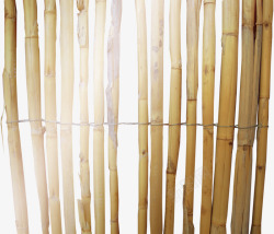竹子编排素材