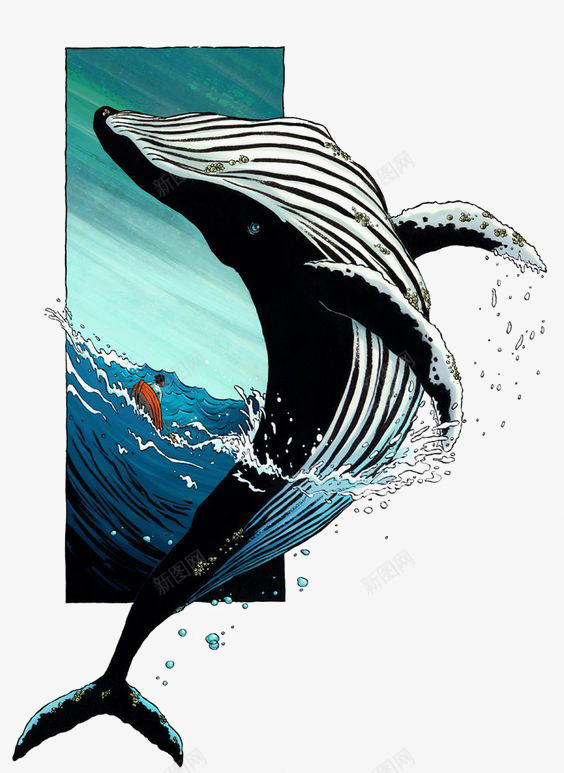 鲸鱼png免抠素材_新图网 https://ixintu.com 创意鲸鱼 卡通 手绘 海洋 虎头鲸 鲸鱼插画
