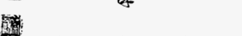迎福毛笔字体艺术png免抠素材_新图网 https://ixintu.com 字体 毛笔 艺术 迎祥纳福