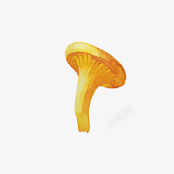 小黄蘑菇小黄蘑菇高清图片