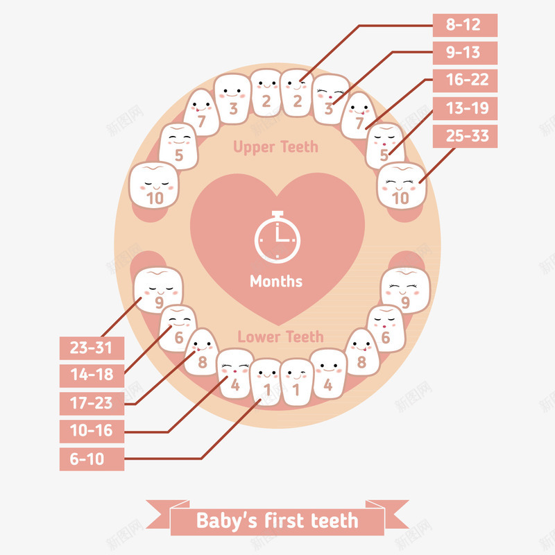 婴儿卡通牙齿png免抠素材_新图网 https://ixintu.com 医疗人体 医疗保健 可爱牙齿 可爱表情 图示 婴儿牙齿 孩子牙齿 教育 牙齿修护卡通图 牙齿插画 矢量素材 结构人器官 解刨