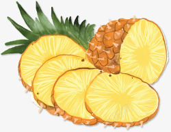 菠萝水彩手绘夏季水果菠萝矢量图高清图片