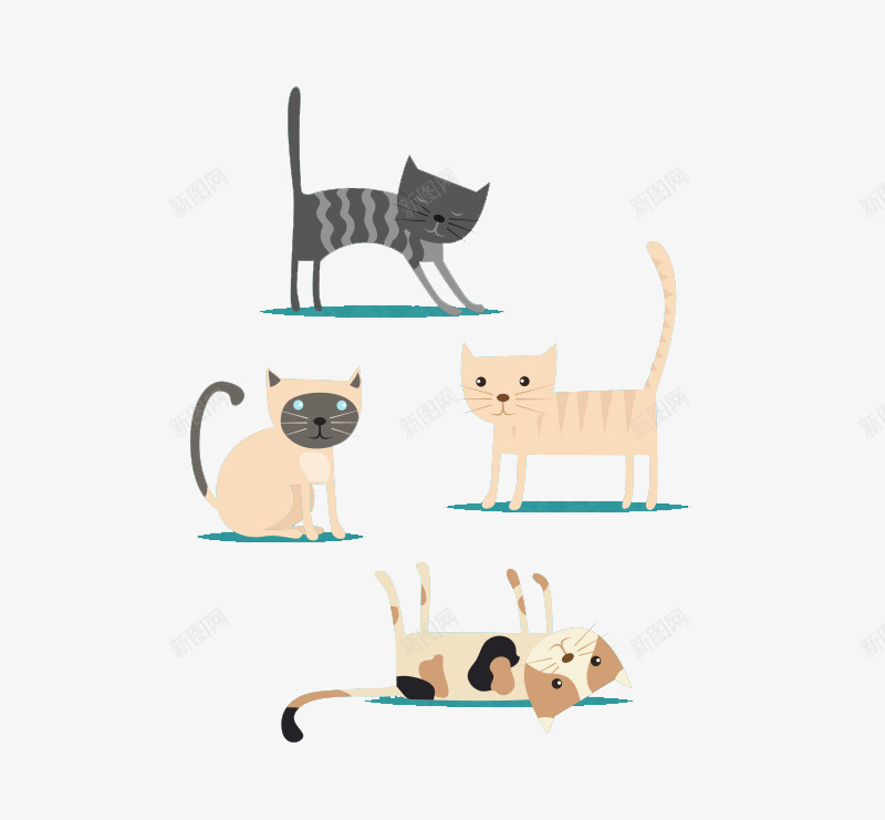 4款可爱宠物猫咪png免抠素材_新图网 https://ixintu.com 可爱 小动物 猫咪