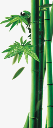 绿色清新竹子竹叶竹节素材