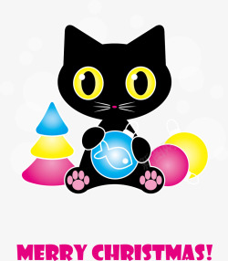 玩球的小猫可爱的黑色小猫在玩球高清图片