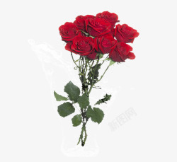 一束花束红色玫瑰高清图片