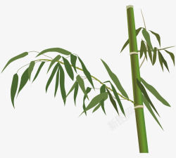 一棵竹子卡通图案素材