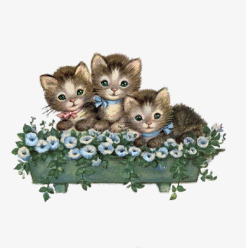 花堆中可爱的小猫png免抠素材_新图网 https://ixintu.com 可爱 小猫咪 手绘 插画