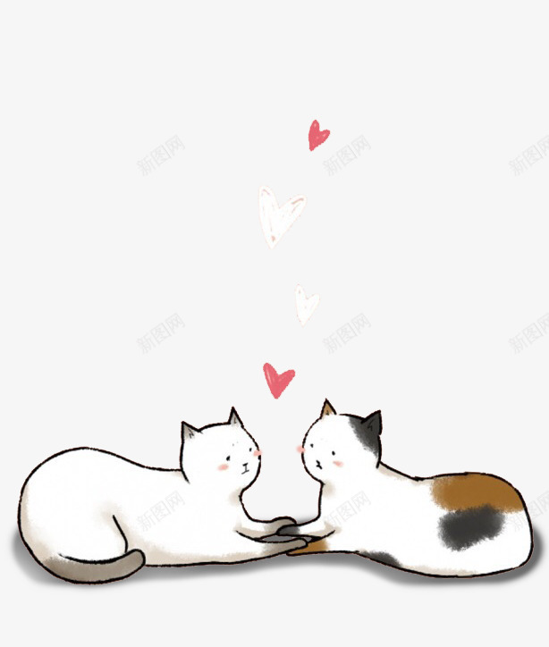 爱情猫咪png免抠素材_新图网 https://ixintu.com 宠物 情人节 爱心 白色猫
