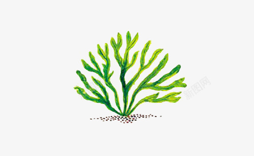 墨角藻画png免抠素材_新图网 https://ixintu.com 墨角藻 平面 手绘 插画 条形 海底 清新 简约 绿色 设计