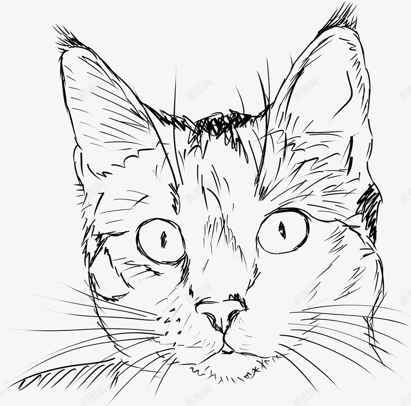 手绘猫矢量图图标ai_新图网 https://ixintu.com 小猫 手绘 猫 肖像 脸 黑色和白色 矢量图