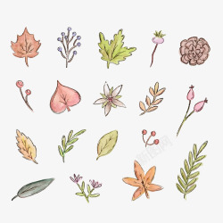 彩绘秋季叶子和花朵素材