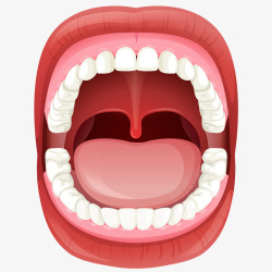 人类牙齿白牙和嘴唇插画矢量图高清图片