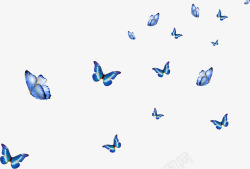 蓝色蝴蝶装饰图案素材