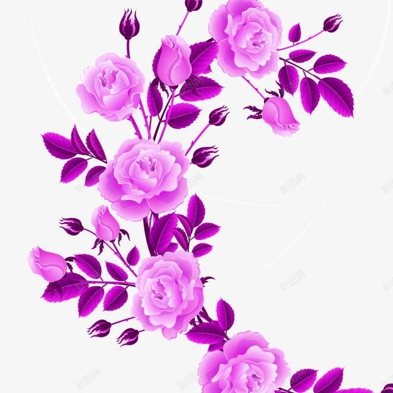紫色玫瑰png免抠素材_新图网 https://ixintu.com 小清新花朵 情人节 情人节元素 点缀 紫色花 紫色花卉 紫色花朵 红色花 装饰